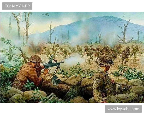 帕利尼亚作为防线前屏障的战术价值解析